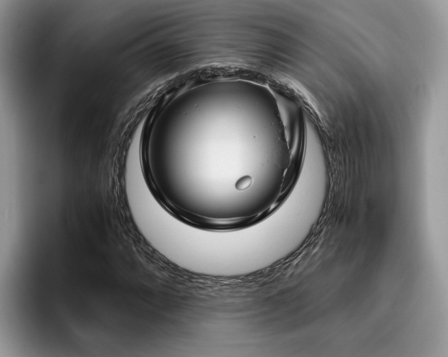 X0000096201064200801181336