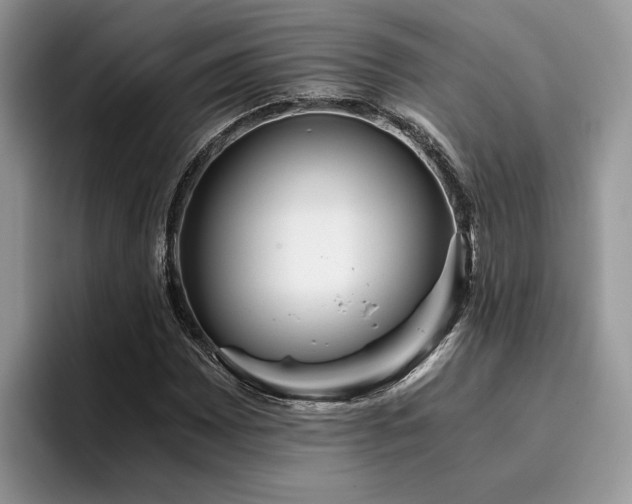 X0000096201065200801181336