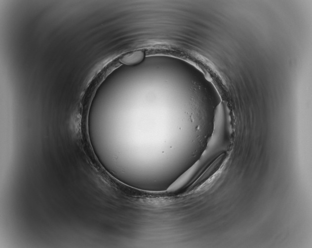 X0000096201066200801181336