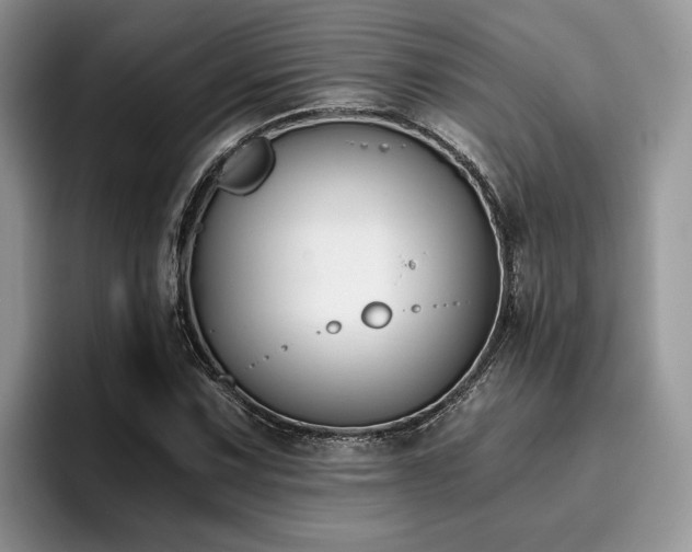 X0000096201067200801181336