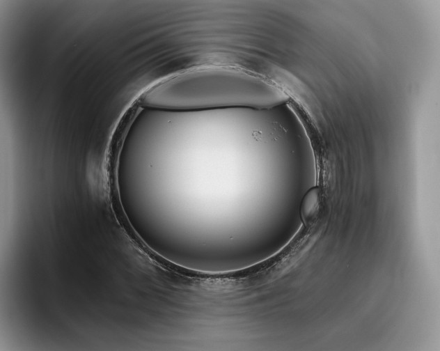 X0000096201068200801181336
