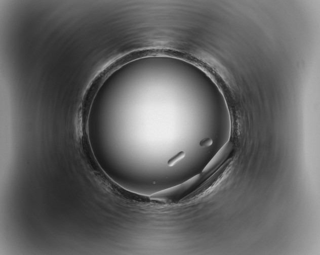 X0000096201069200801181336