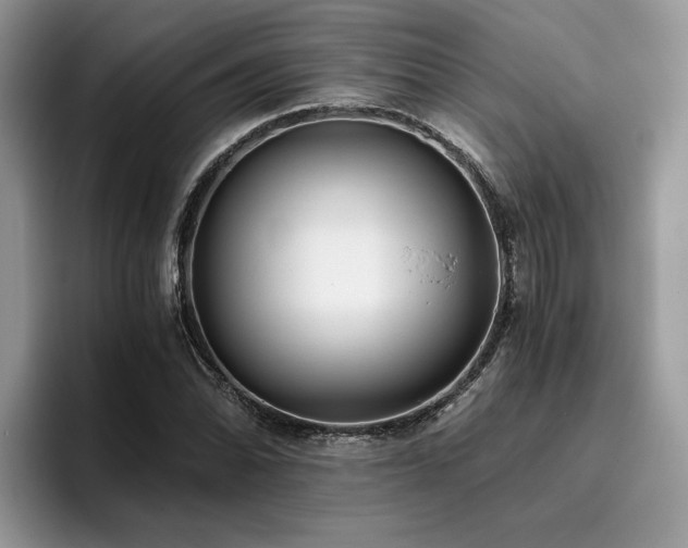 X0000096201070200801181336
