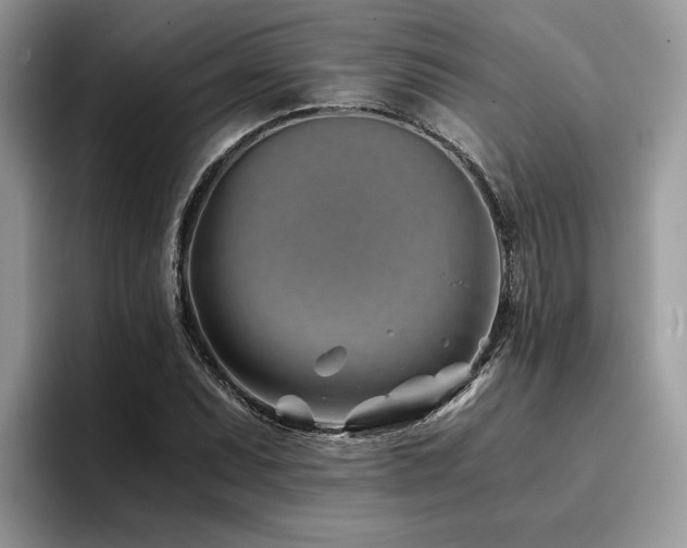 X0000096201071200801181336