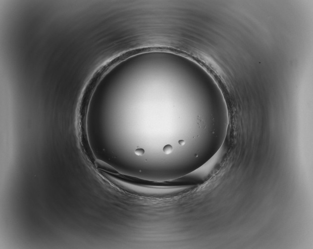 X0000096201072200801181336