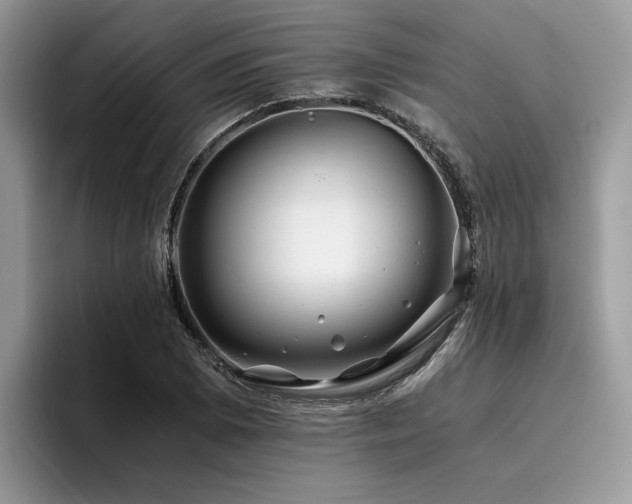 X0000096201073200801181336