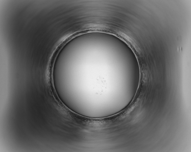 X0000096201074200801181336