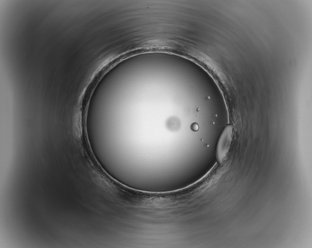 X0000096201075200801181336