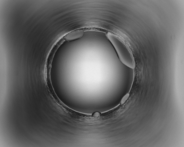 X0000096201076200801181336