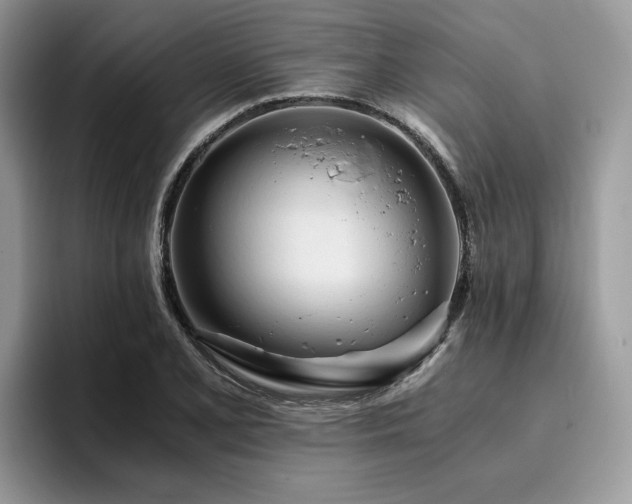 X0000096201077200801181336