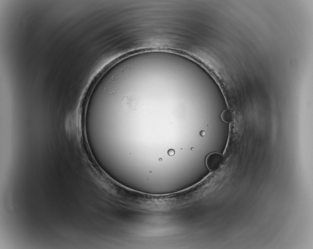 X0000096201078200801181336