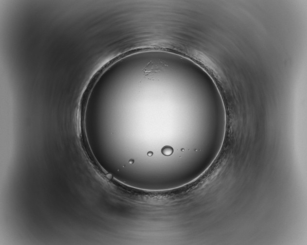 X0000096201079200801181336