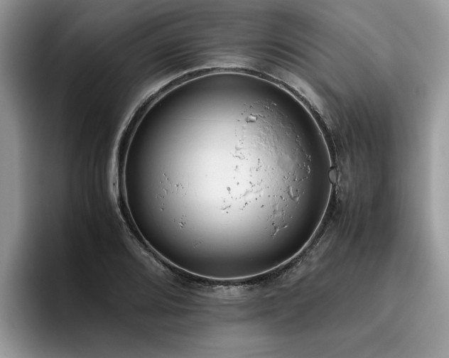 X0000096201080200801181336