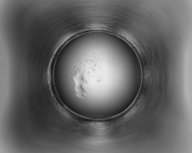 X0000096201082200801181336