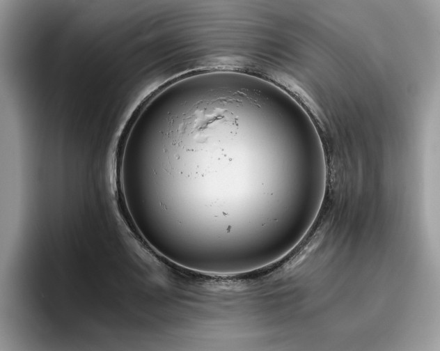 X0000096201083200801181336
