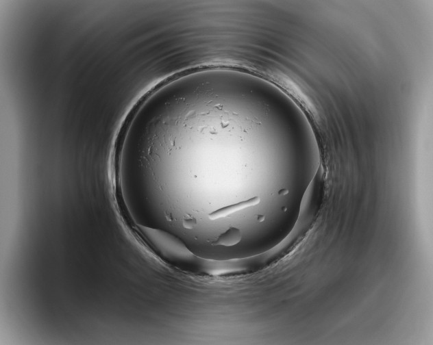 X0000096201084200801181336