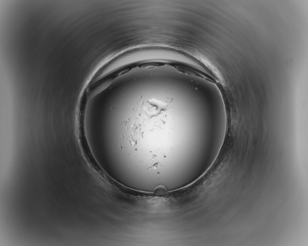 X0000096201085200801181336