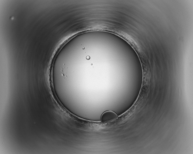 X0000096201086200801181336