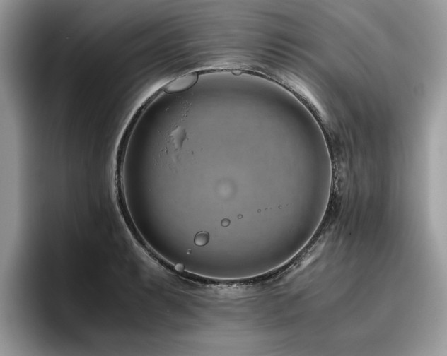 X0000096201087200801181336