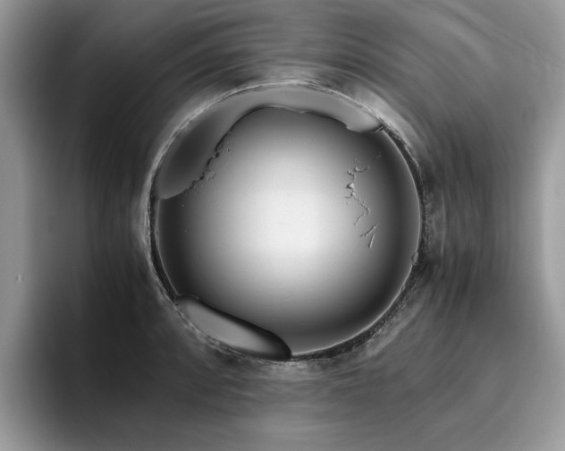 X0000096201088200801181336