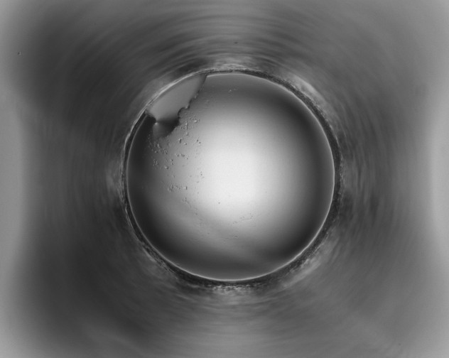 X0000096201089200801181336