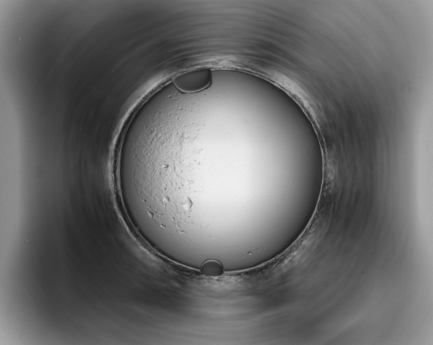 X0000096201090200801181336
