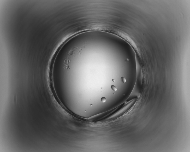 X0000096201091200801181336