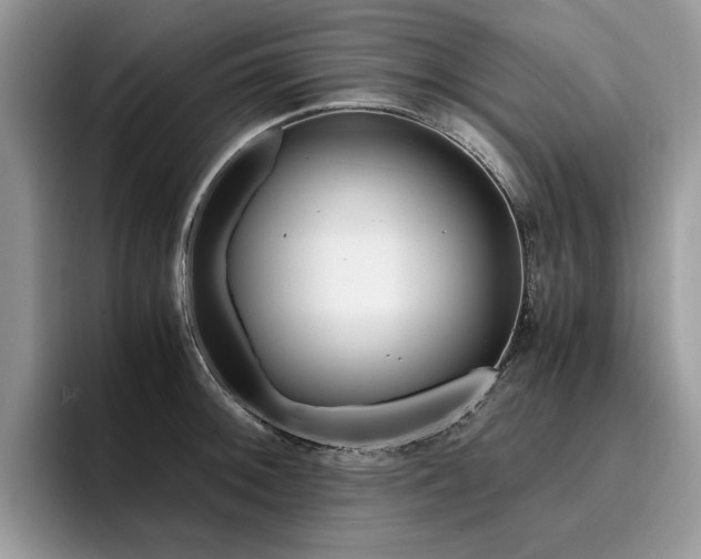 X0000096201092200801181336