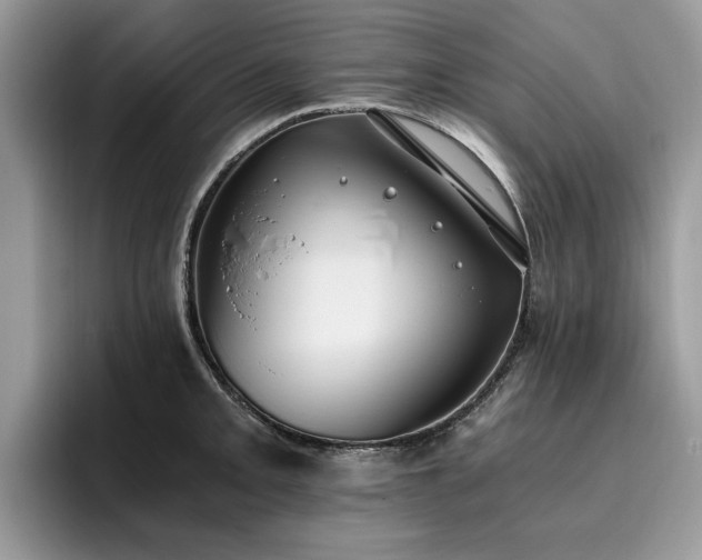 X0000096201093200801181336