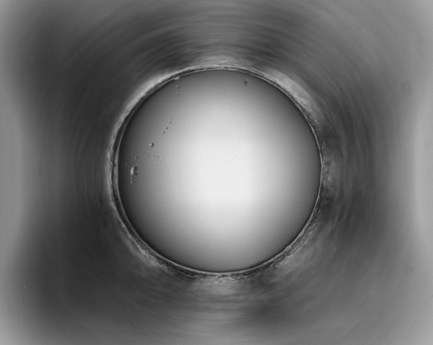 X0000096201094200801181336