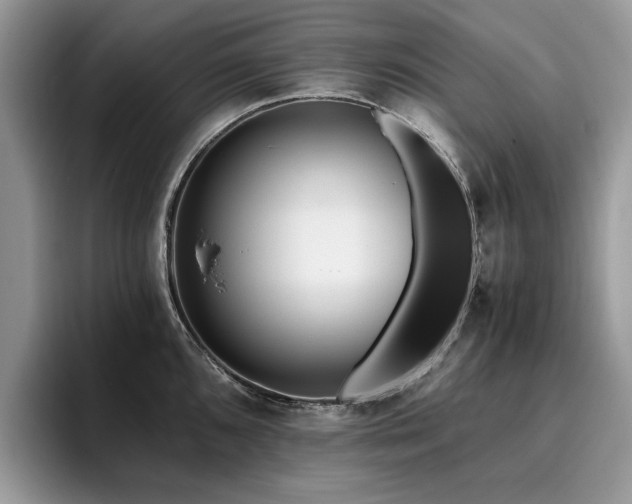 X0000096201096200801181336