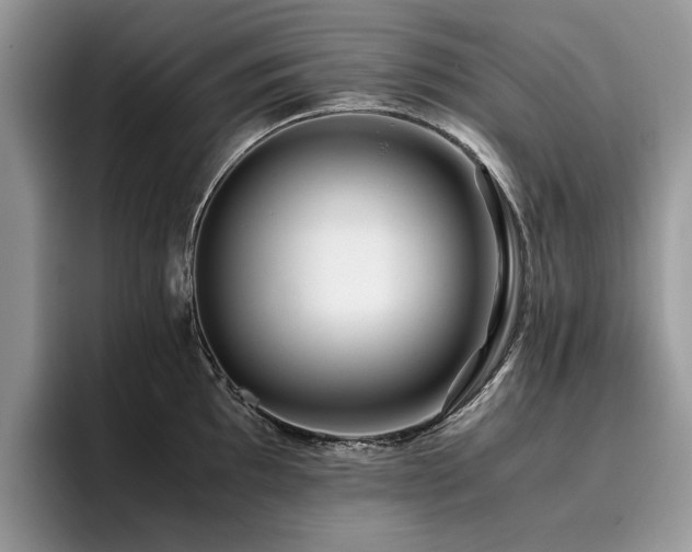 X0000096201097200801181336