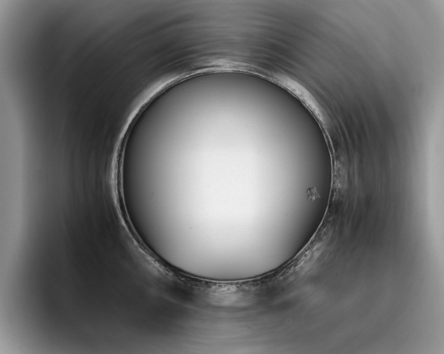 X0000096201098200801181336