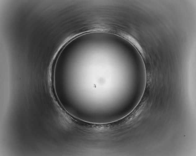 X0000096201099200801181336