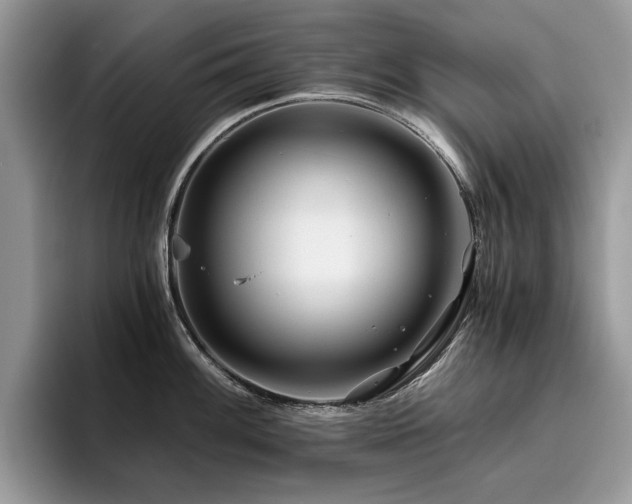 X0000096201100200801181336