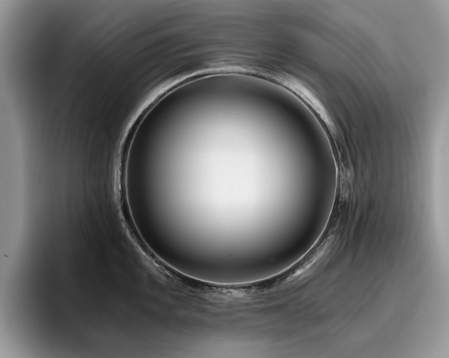 X0000096201101200801181336