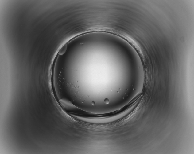 X0000096201102200801181336