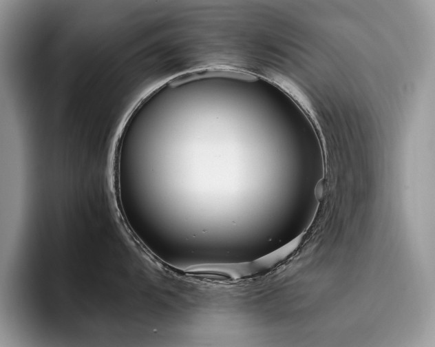 X0000096201104200801181336