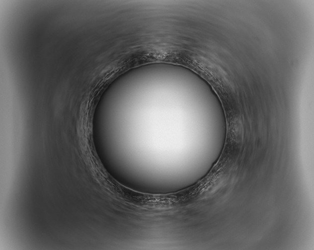 X0000096201105200801181335