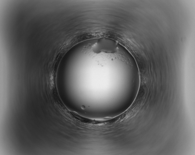 X0000096201106200801181335