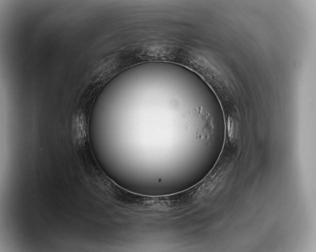 X0000096201107200801181335