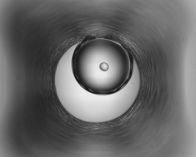 X0000096201108200801181335