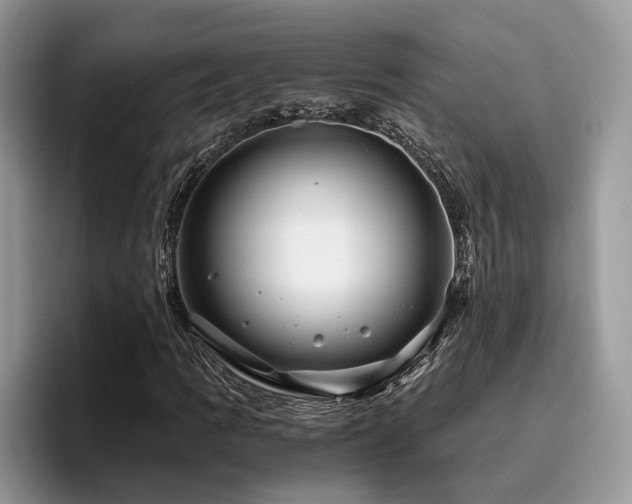 X0000096201109200801181335