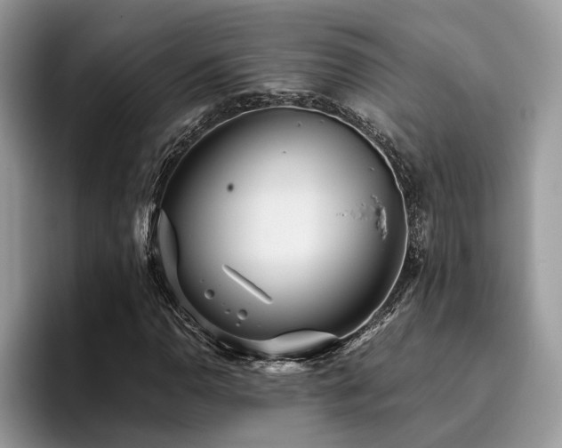 X0000096201110200801181335