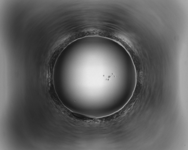 X0000096201111200801181335
