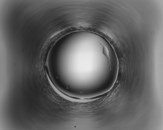 X0000096201112200801181335