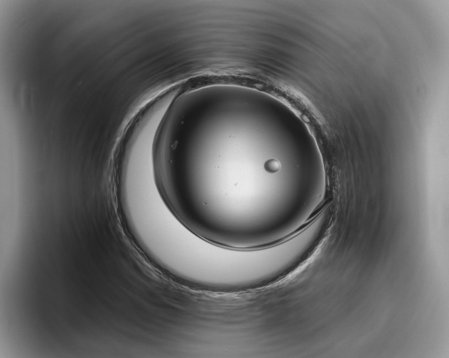 X0000096201114200801181335