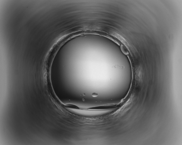 X0000096201115200801181335