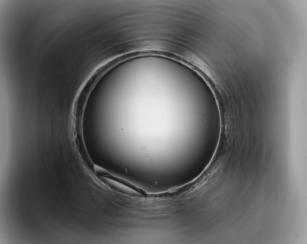 X0000096201116200801181335