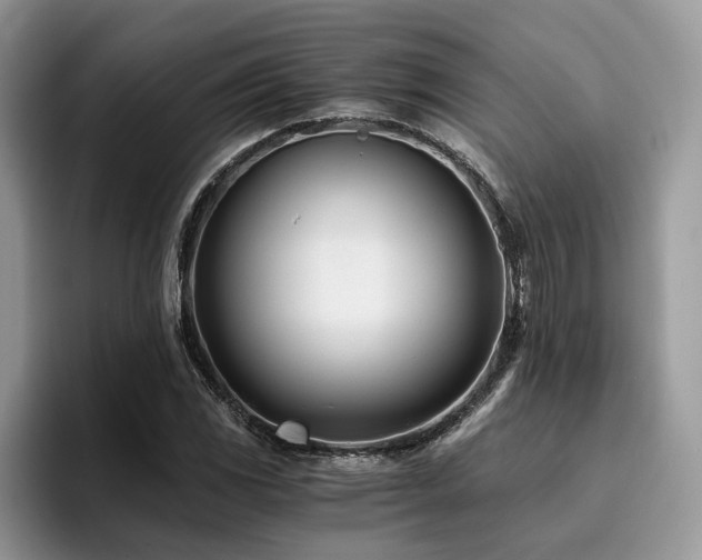X0000096201117200801181335